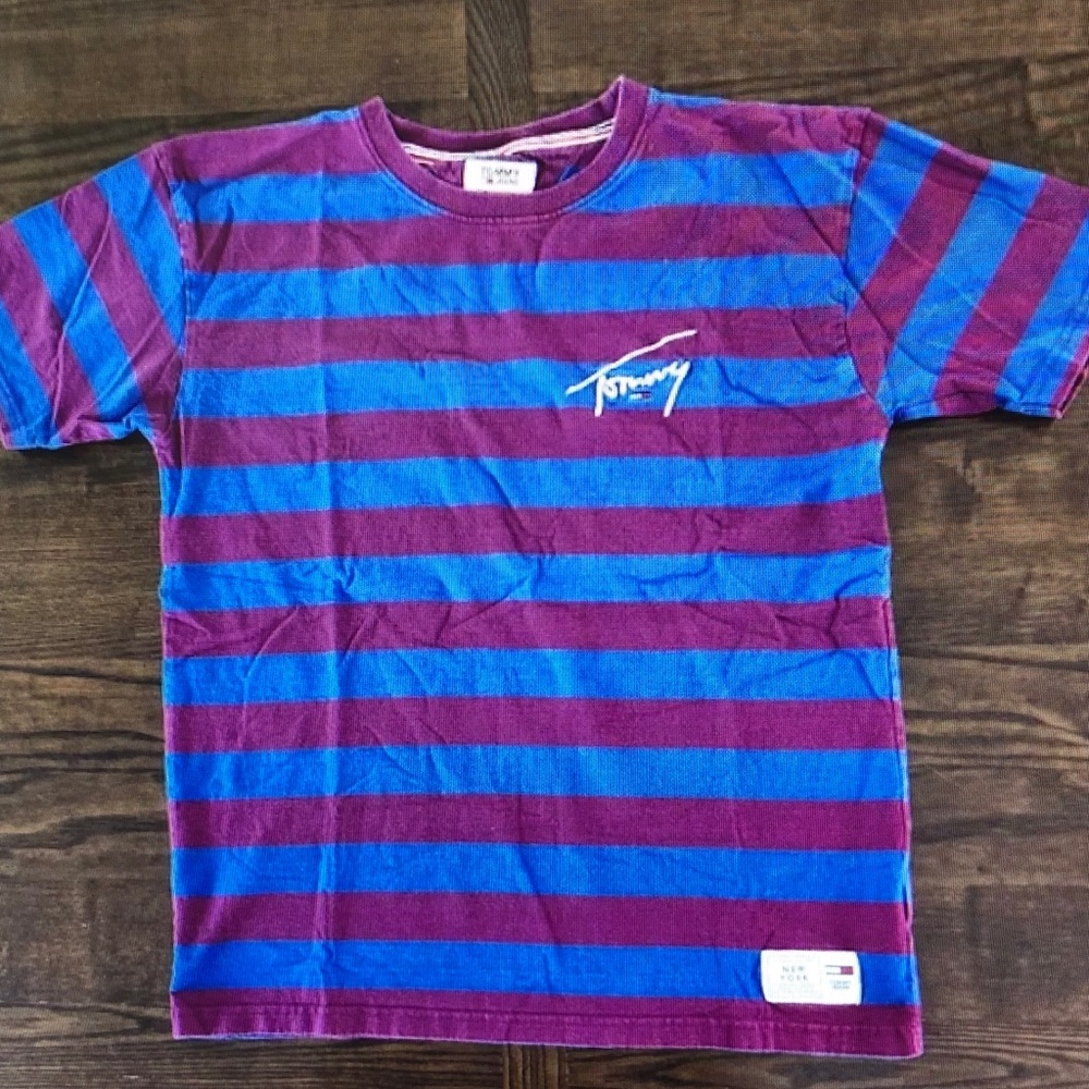 Tommy Hilfiger Blue and Purple Striped Short Sleeve Crew Tee
